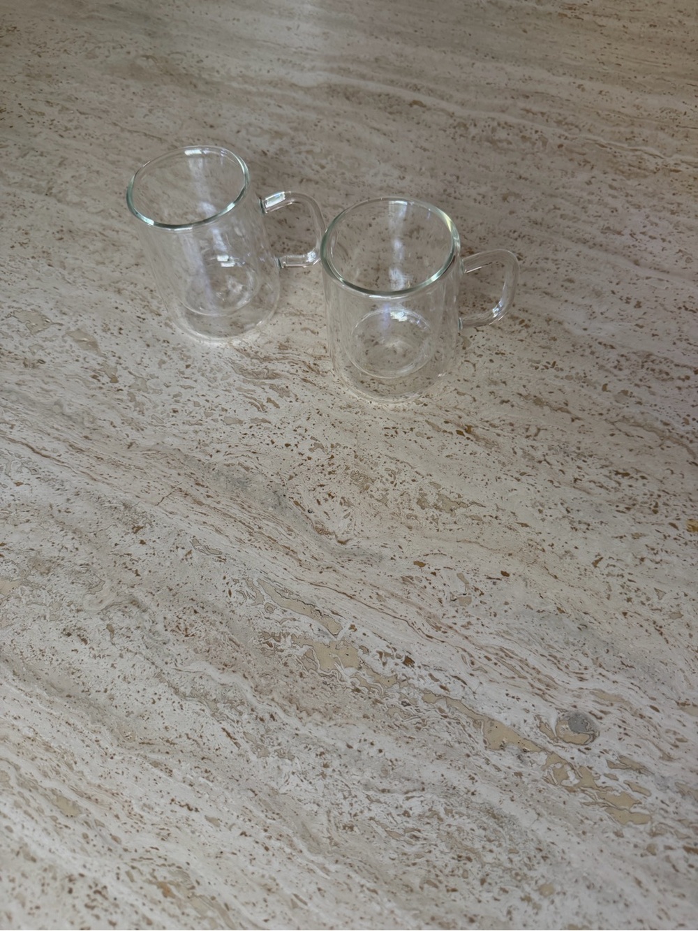 Williams Sonoma Double-Walled Mugs